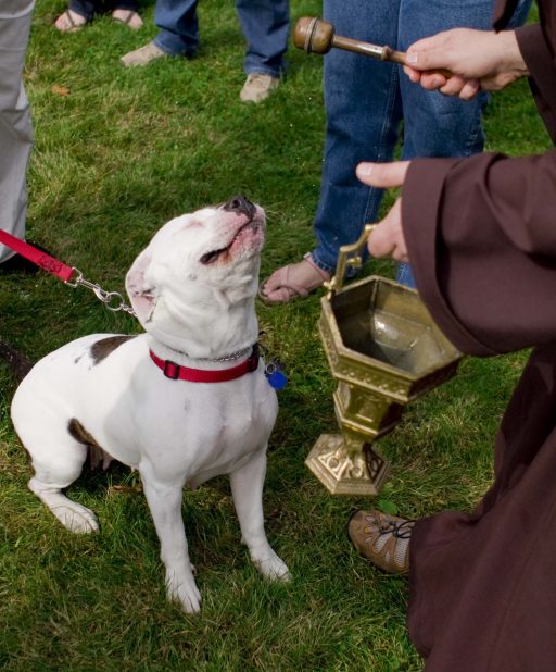 Blessing of Pets – 10/17