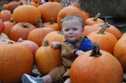 Thank you to everyone who enjoyed our Pumpkin Patch!